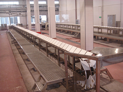 生豬預(yù)剝輸送機